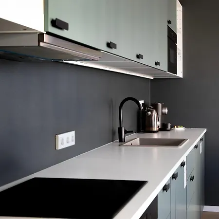 Skyline Flat Near Center By Richies Apartman *